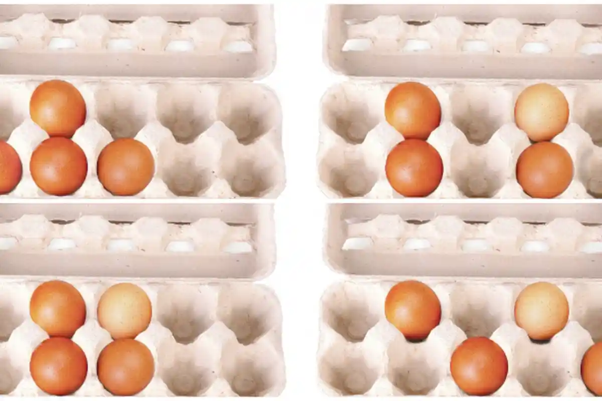 Telur Memiliki Banyak Manfaat untuk Si Buah Hati, Cobalah Selama 6 Bulan dan Rasakan Perbedaannya