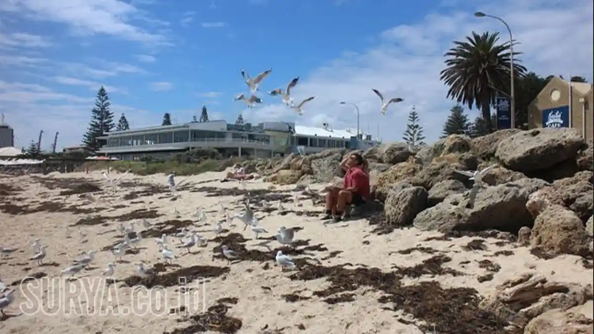 Fremantle Bersolek Menjadi Kota Maritim dan Wisata