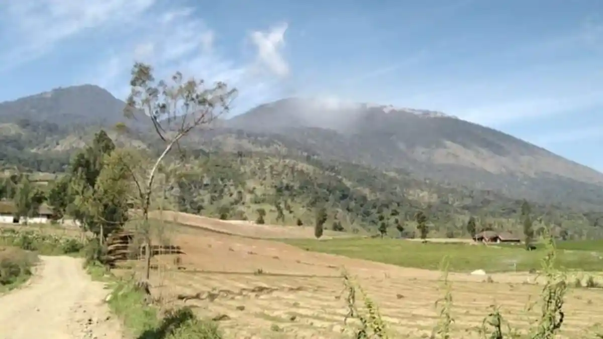 BREAKING NEWS : Gunung Arjuna Terbakar Lagi, 18 Petugas Gabungan Menuju Titik Api