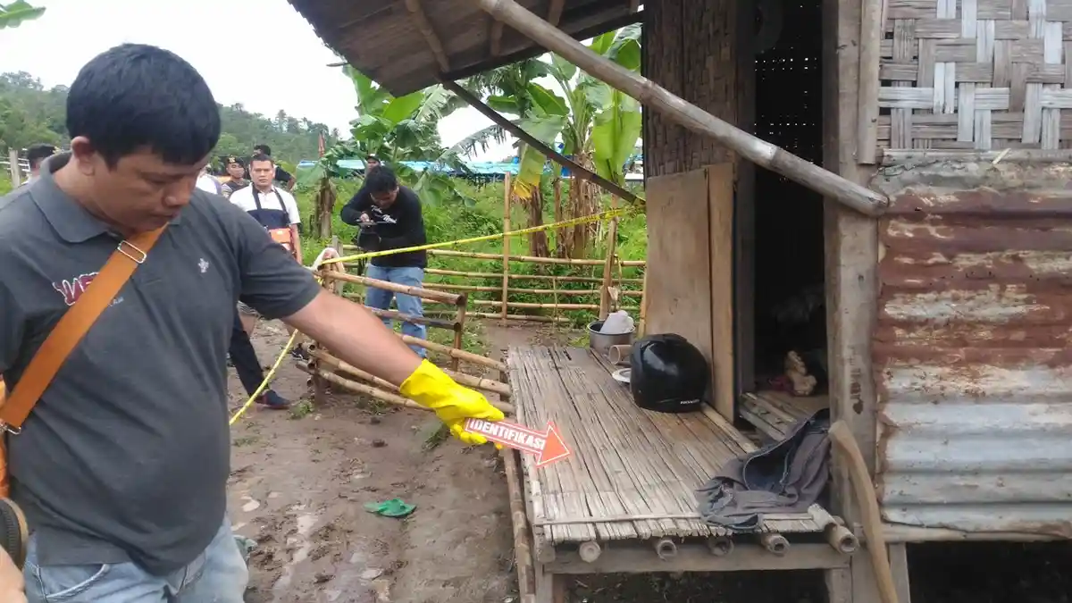 5 Kambingnya Hilang, Syamsuri Duga Keponakannya Dibunuh Orang