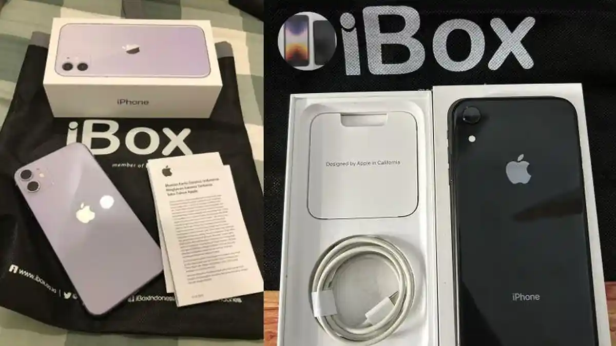Link Beli HP iPhone Second iBox Juli 2024: iPhone 11 Pro Max, iPhone XR, iPhone 13 Mini, iPhone X