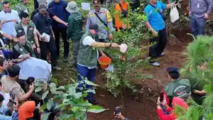 HUTAN-KOTA-BOGOR.jpg