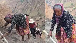 VIRAL-Video-Nenek-Mendaki-Gunung-Rinjani-Penjelasan-BTNGR-Naik-untuk-Ritual-Keagamaan.jpg