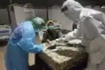 Kogabwilhan II Bantu Rakyat Surabaya Penanganan Pandemi Covid-19