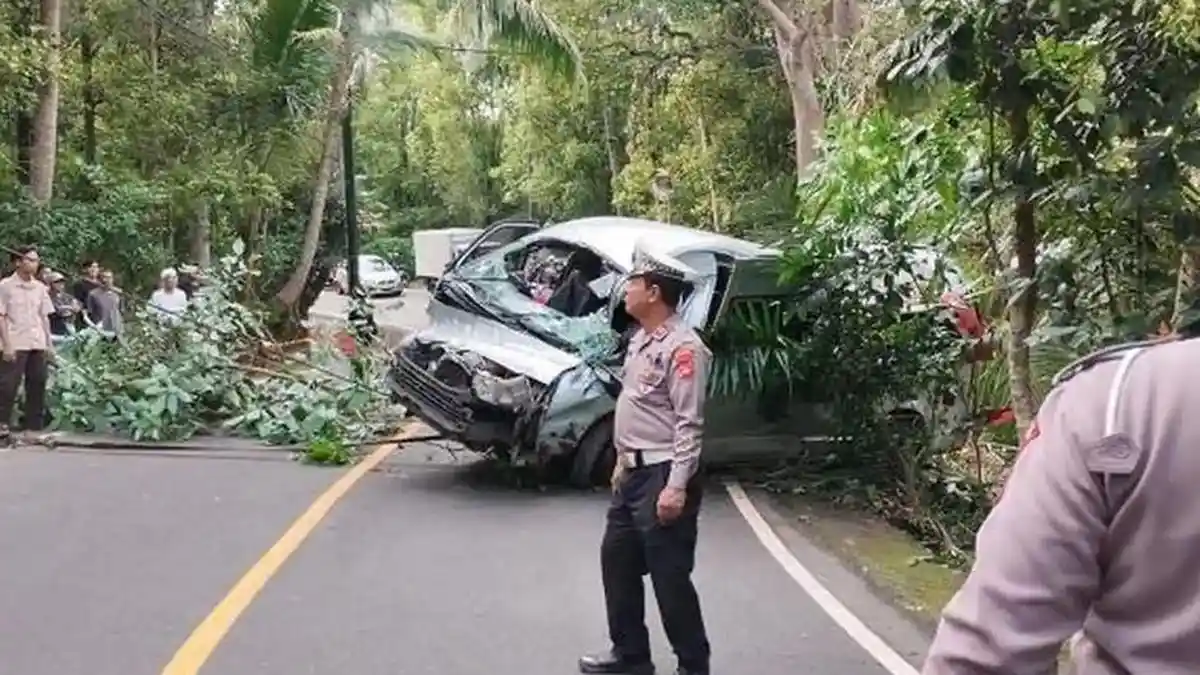 Penyebab Kecelakaan Minibus di Buleleng Bali, 5 WNA China Meninggal dan 8 Luka-luka