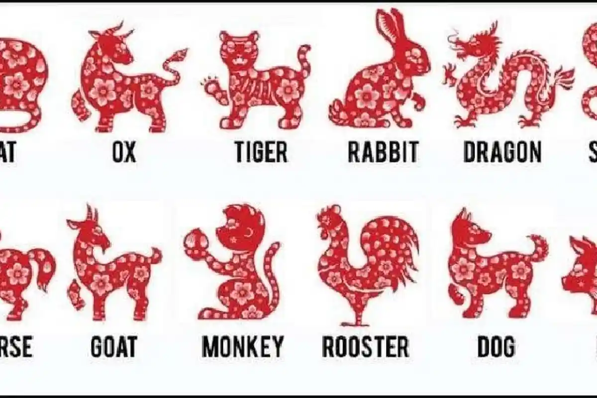 Ramalan 12 Shio Lusa Kamis 30 September 2021 : Kelinci Jangan Bertengkar, Naga Berhenti Merokok