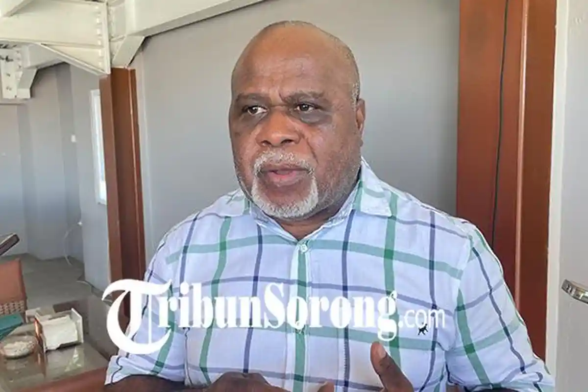 Kadis LHKP Papua Barat Daya soal "Illegal Logging", Penebangan Pohon di Tanah Adat Sulit Dikontrol