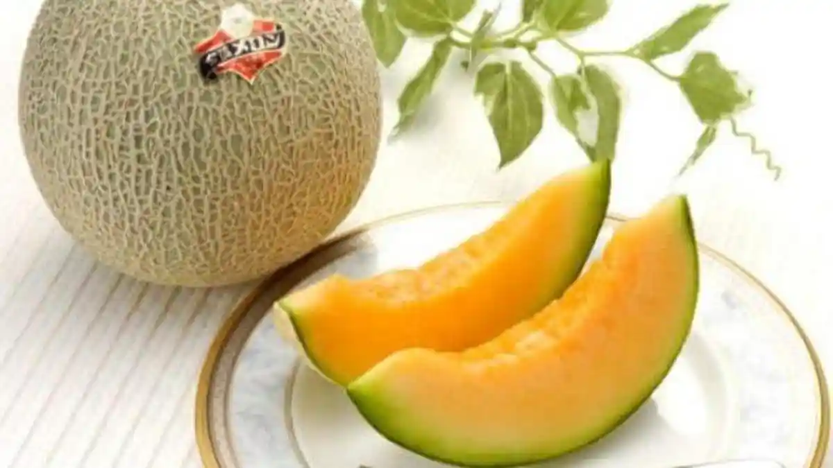 4 Manfaat Melon bagi Kesehatan, hingga Resep Es & Kue Kering Melon untuk Menu Buka Puasa Ramadhan