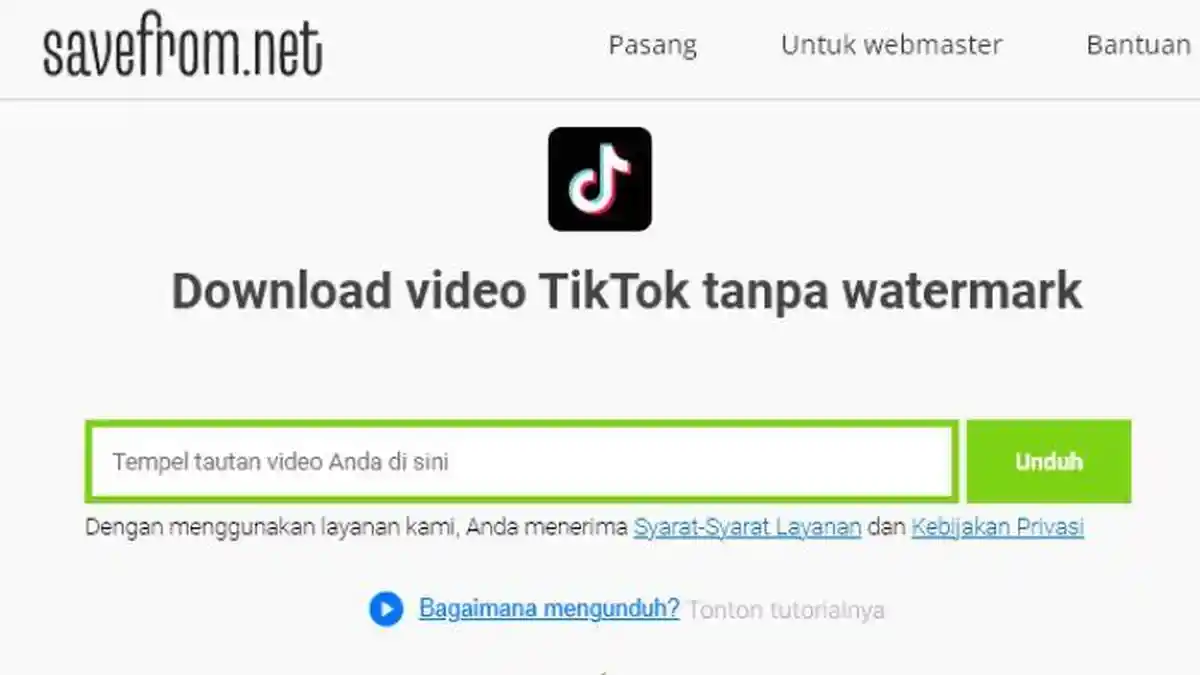 Savefrom net: Cara Download Video TikTok tanpa Watermark Unlimited dan Ubah MP4 jadi MP3