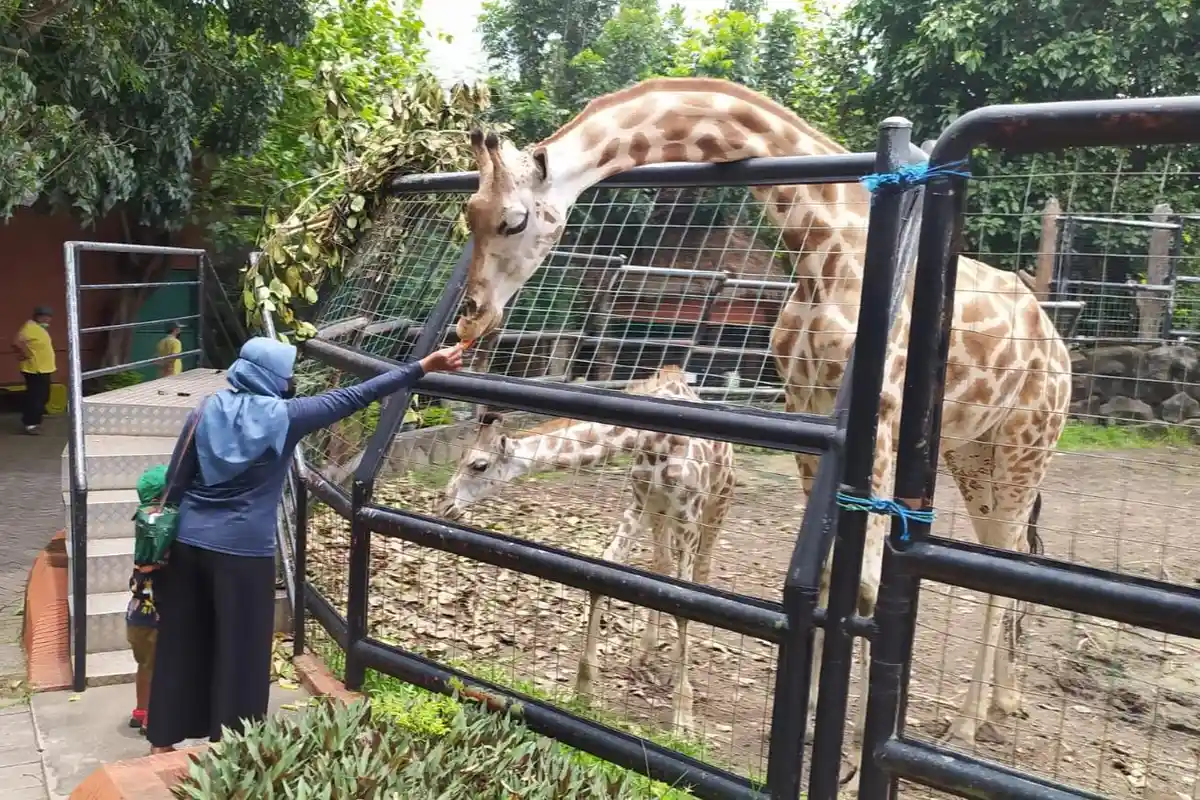 Sebanyak 35 Wisata di Lamongan Siap Manjakan Wisatawan saat Libur Natal dan Tahun Baru 2024