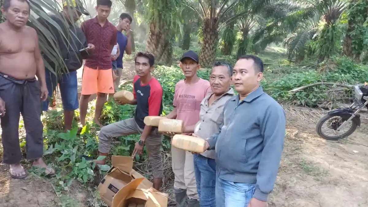 Warga Temukan Ganja Tak Bertuan Sebanyak 49 Kg, Diduga Diturunkan Mobil Avanza Asal Aceh