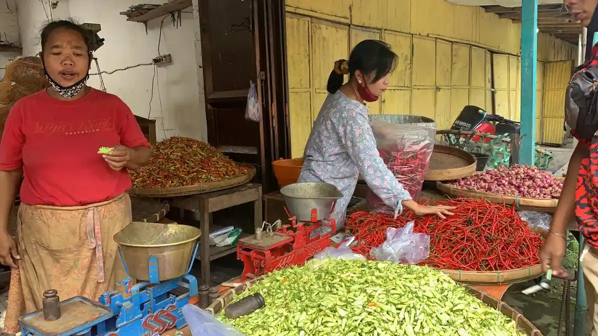 Petani Cabai di Mojokerto Kaya Mendadak Imbas Harga Cabai Meroket, Ada yang Borong Motor, Beli Mobil
