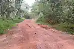 Truk Ugal-Ugalan dan Jalan Rusak Berlumpur, Warga Keluhkan Proyek Irigasi Desa Harapan Makmur OKUT
