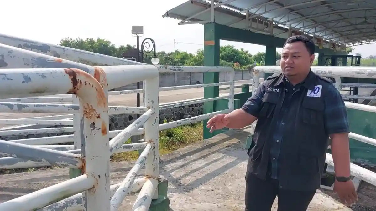 Jelang Iduladha, RPH Pare Kediri Terima 9 Sapi Kurban Termasuk Milik Bupati Mas Dhito