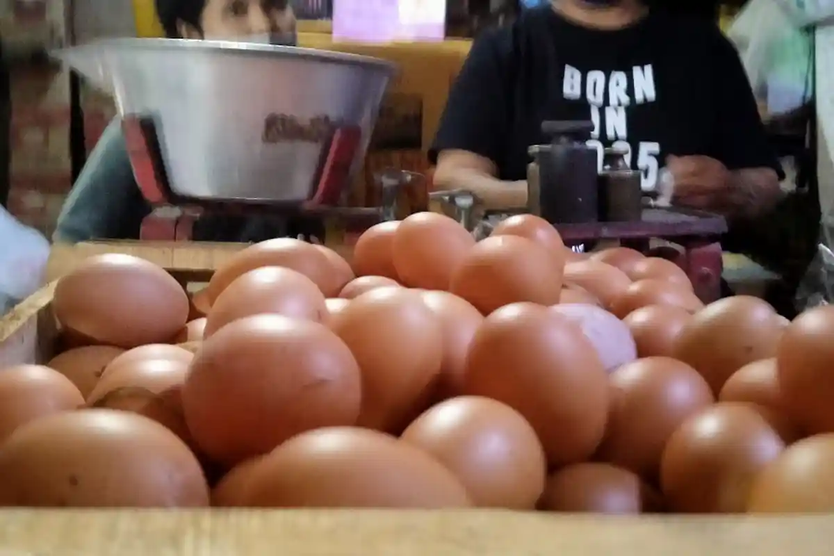 Hotline Jateng : Pak Tolong Pemprov Bisa Turunkan Harga Komoditas Pangan