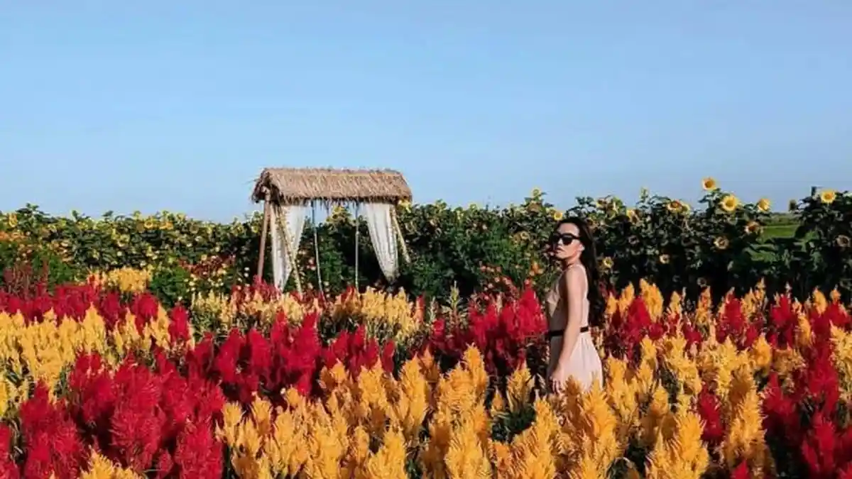 6 Instagramable Tourist Attractions You Can Visit in Yogyakarta, Indonesia