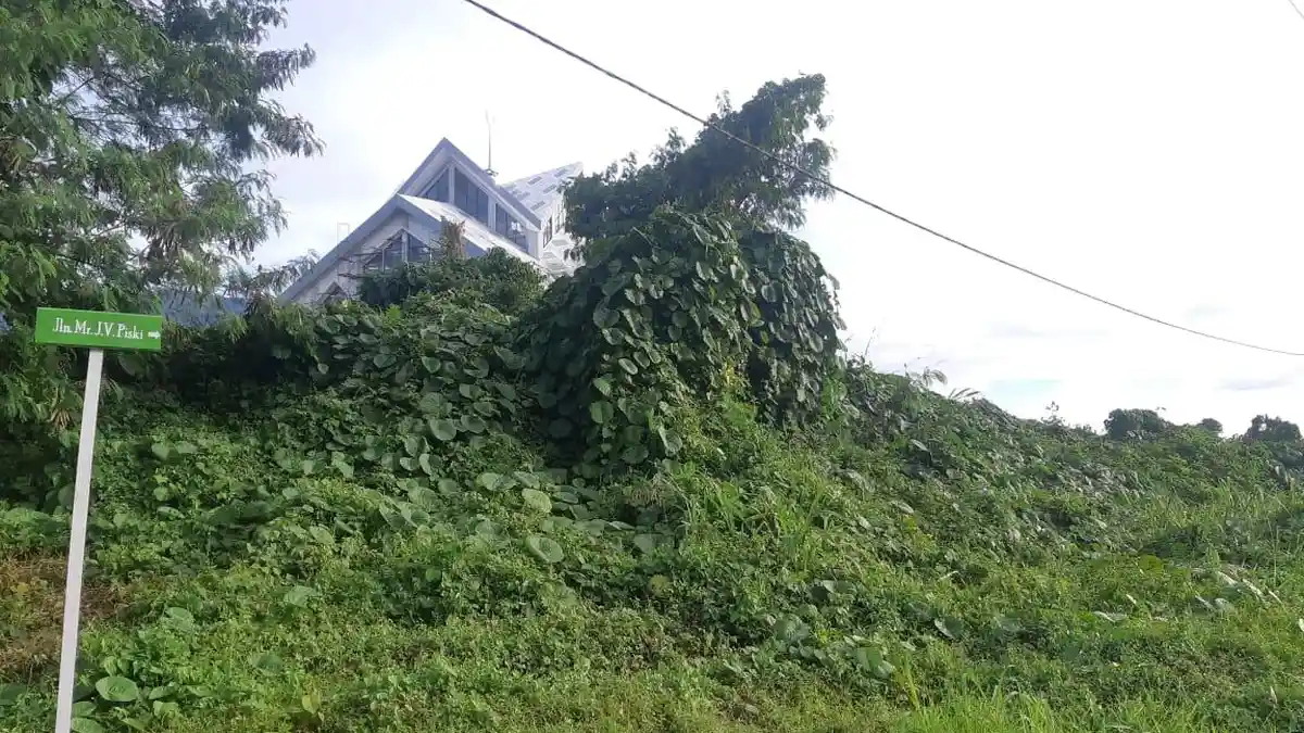 Warga Minta Pemerintah Perhatikan Masjid Raya Halmahera Selatan yang Dipenuhi Semak Belukar