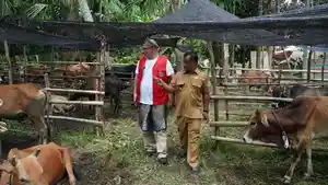 Wakil-Bupati-Aceh-Tamiang-Ismail-bersama-Mehmet-Salih-Arslan-saat-melihat-kondisi-sapi-kurban.jpg