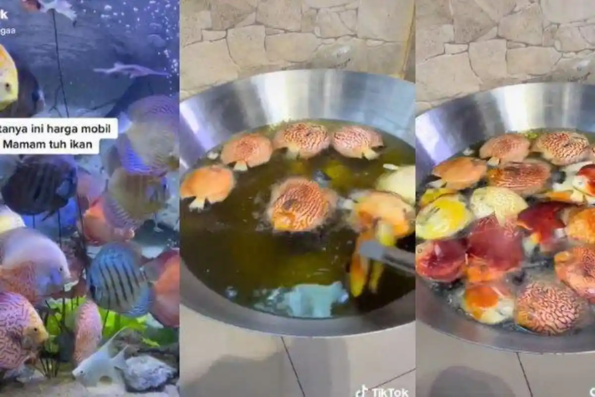 Viral Seorang Istri Goreng 80 Ekor Ikan Hias Suaminya, Penyebabnya Ternyata karena Kurang Perhatian