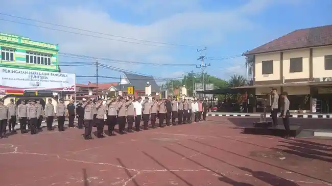 Tribun