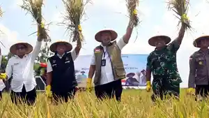 Direktur-Utama-Bulog-Ahmad-Rizal-Ramdhani-panen-perdana-di-Ngawi-Jatim.jpg