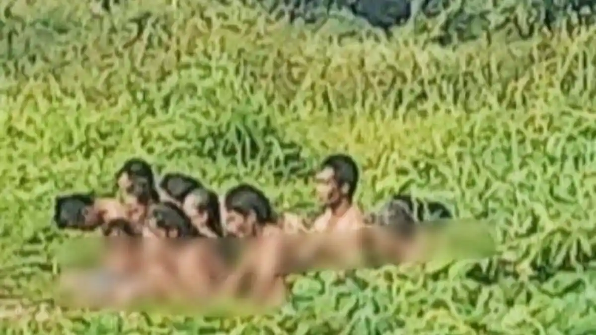 Apa Itu Aliran Hakekok? Belasan Orang Lakukan Ritual Mandi Bugil di Kebun Sawit