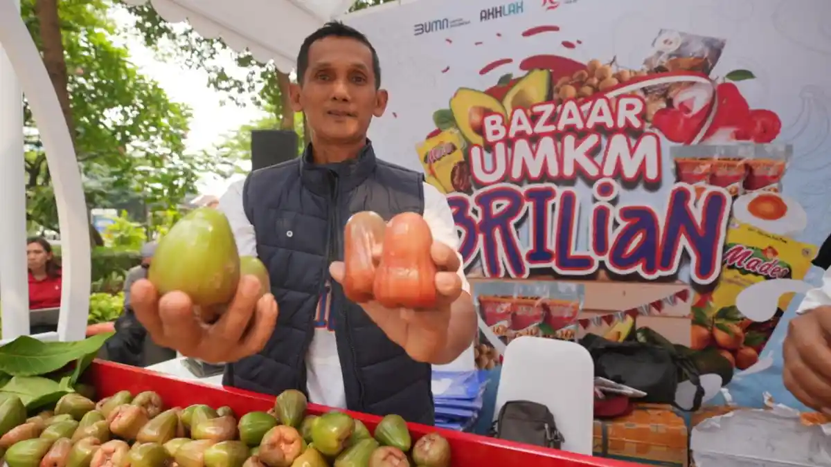 Kisah Pengusaha Jambu di Kudus, Sukses Kembangkan Usaha Berkat Pemberdayaan BRI
