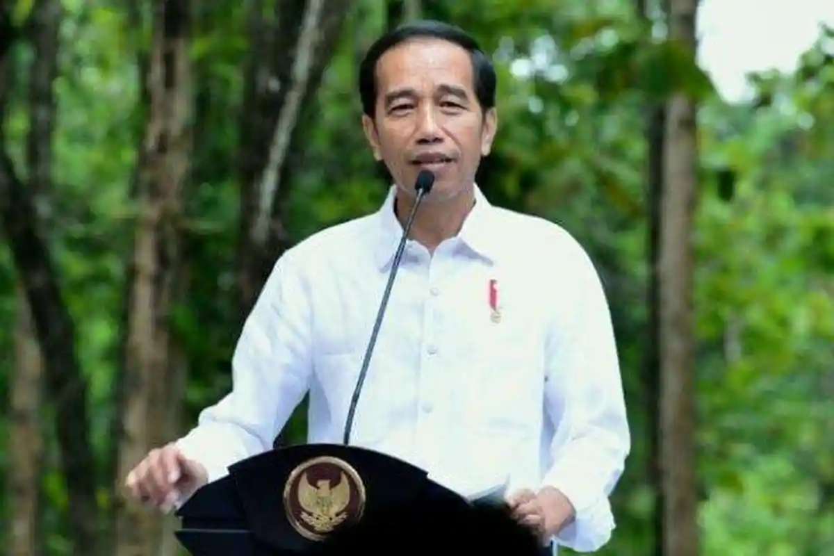 Jokowi Gagal Mendarat di Tengah Hujan Deras