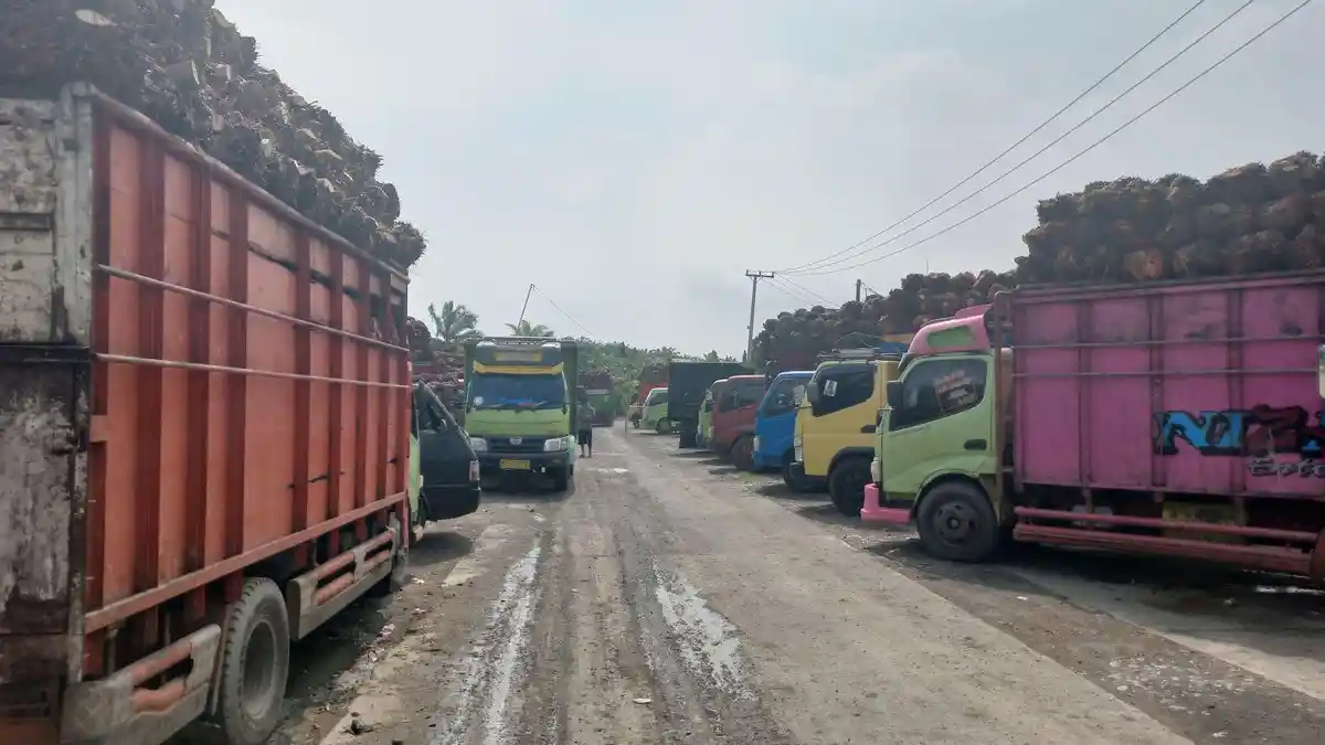 Pabrik Sawit di Bengkulu Selatan dan Kaur Tutup Dua Hari, Antrean Truk Mengular