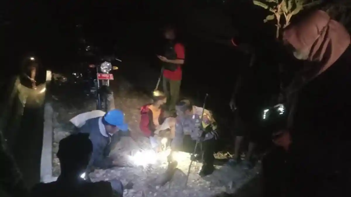 Ramai-ramai Berburu Tikus Bareng TNI-Polri, Upaya Warga di Blora Kendalikan Hama Sawah