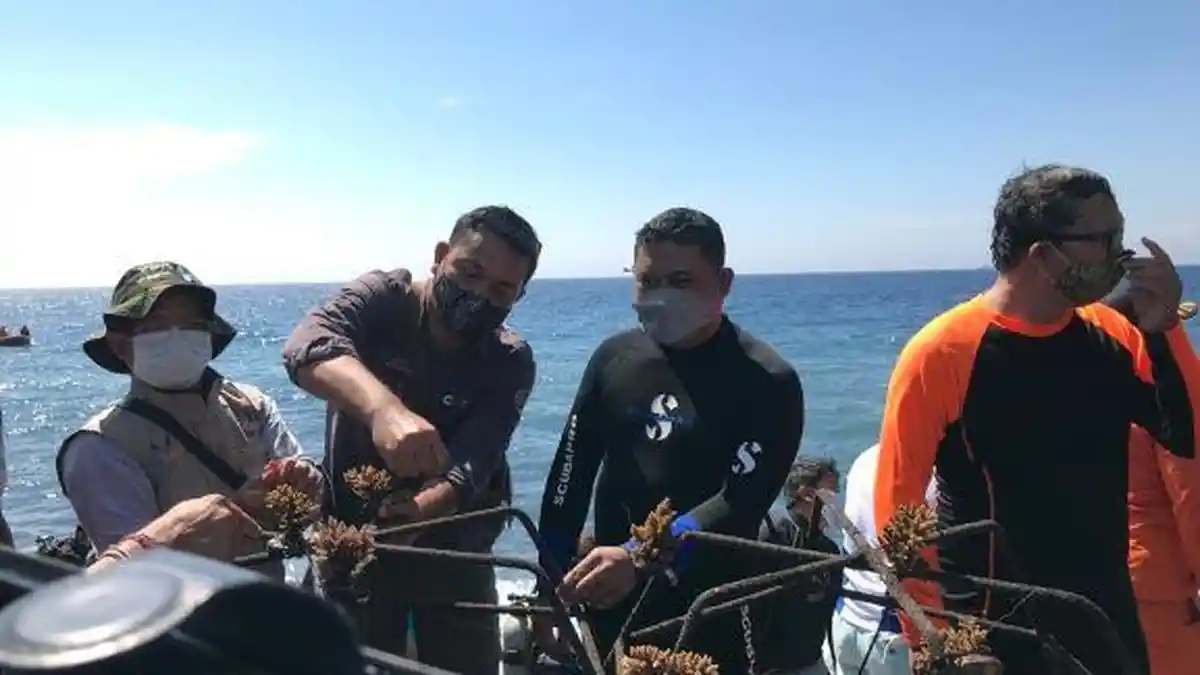 BKSDA Bali Adopsi dan Tanam 200 Terumbu Karang di Pantai Tulamben