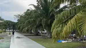 Pohon-Sawit-Jadi-Ikon-Taman-Funuansingko.jpg