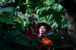 PTPN-KOPI1.jpg