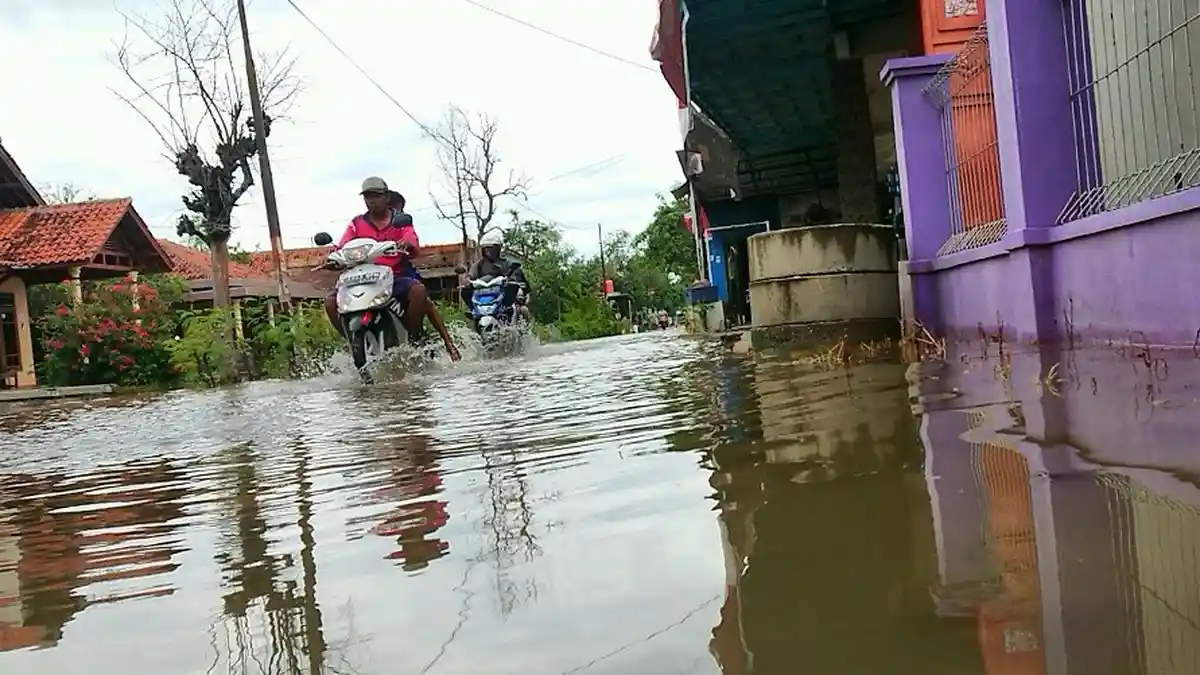 Dikepung Banjir, Warga Desa Mojo Pemalang Hanya Bisa Pasrah, Laila: Kami Sudah Lelah