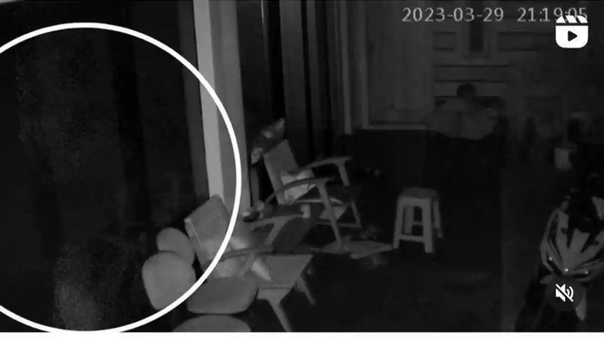Heboh Penampakan Diduga Pocong Terekam CCTV di Rumah Jessica Iskandar, Jedar Minta Doa