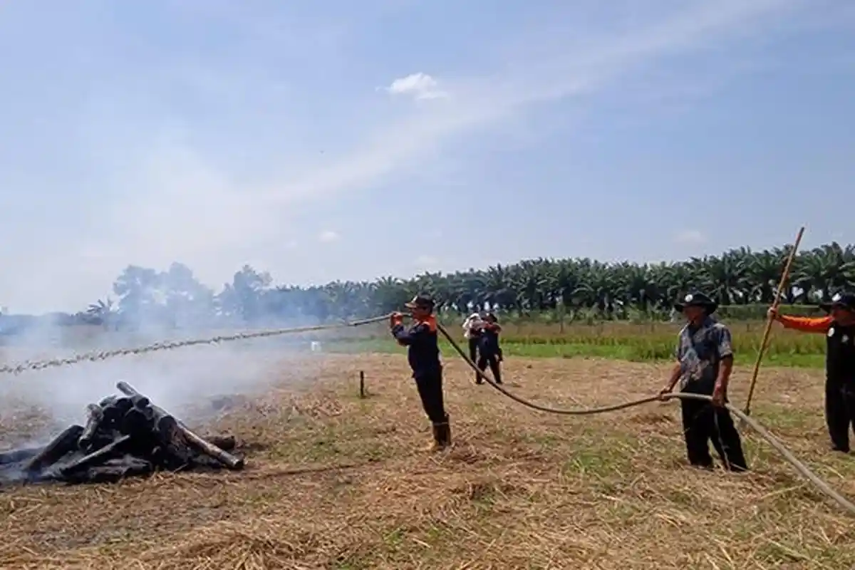 BPBD Sambas Deteksi Api di Selakau Timur, Siapkan Edaran Antisipasi Bencana