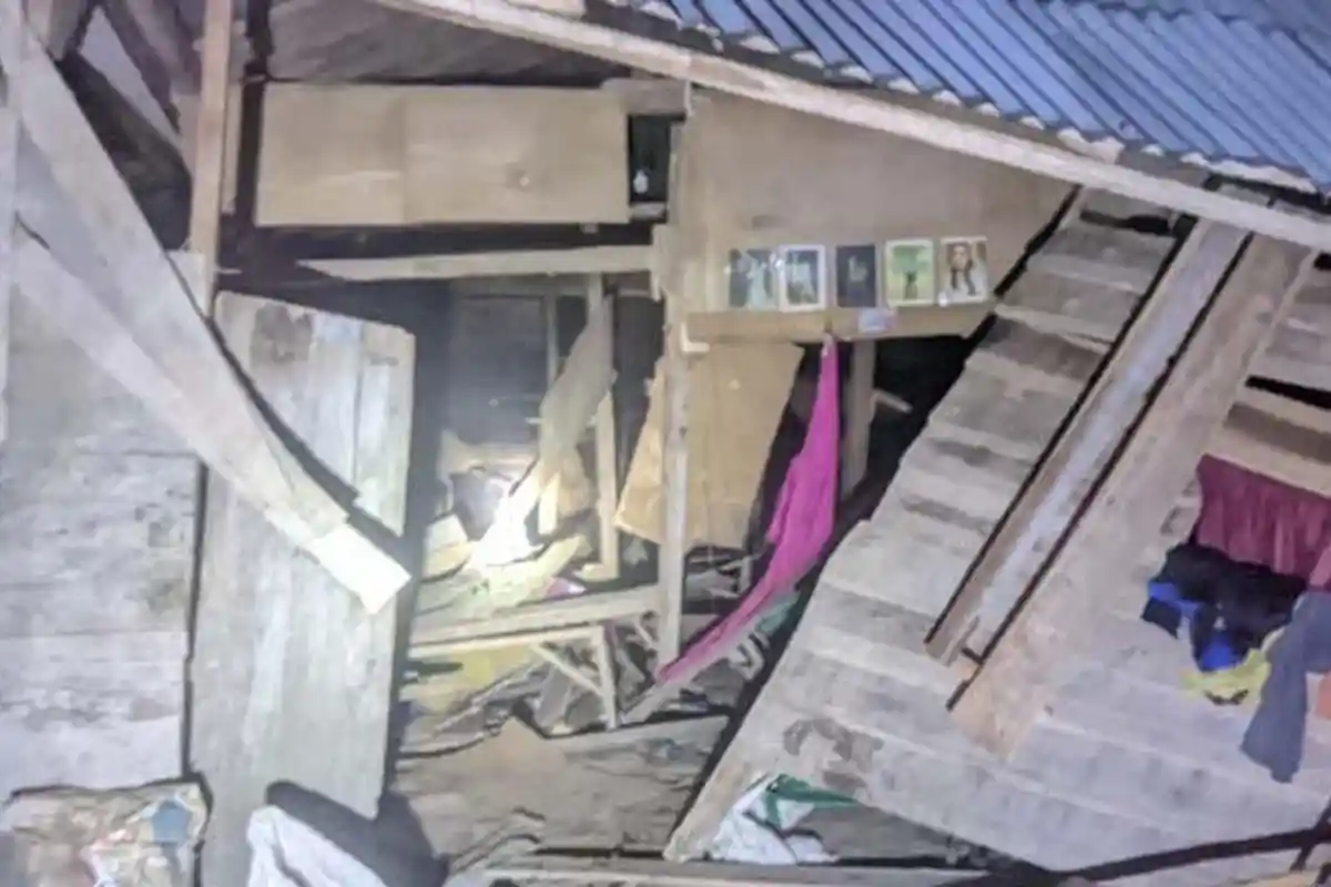 Tak Bisa Kabur karena Sakit, Nenek di Tanggamus Tewas Terinjak Gajah Liar