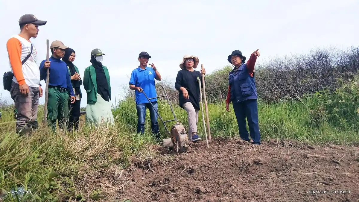 Pemkab Samosir Galakkan Tanam Padi Gogo: Pemkab Sediakan Bibit, Masyarakat Siapkan Lahan