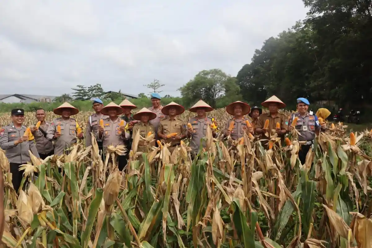 Kapolres Ogan Ilir Hadiri Panen Raya Jagung Program Ketahanan Pangan di Desa Lorok