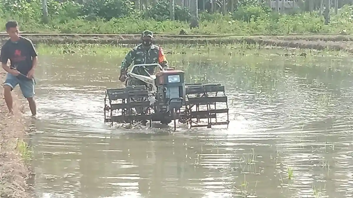 Babinsa Koramil Pinolosian Tetap Semangat Bantu Warga Tanam Padi di Tengah Pandemi Covid 19