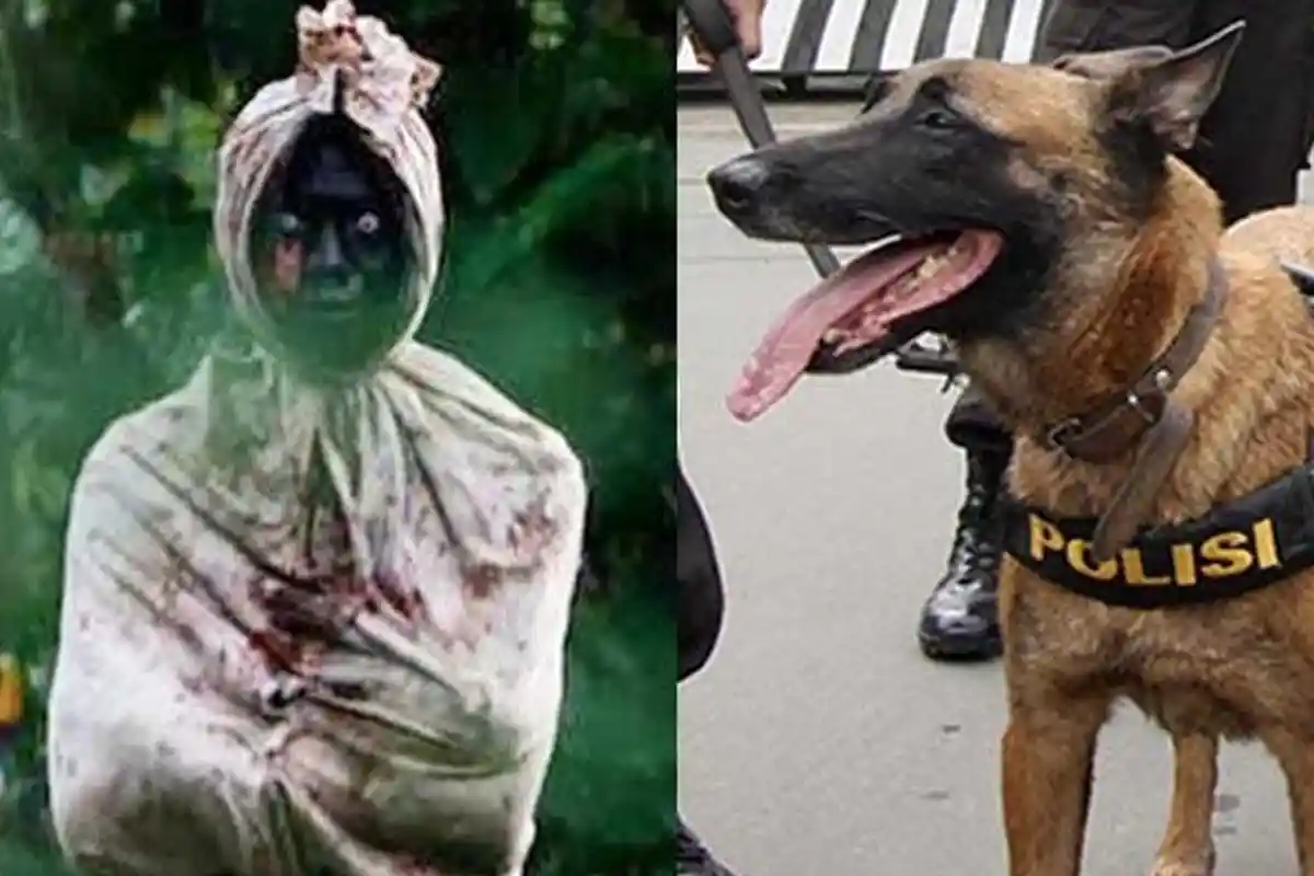 Iseng Jadi Pocong, Pria Berinial AG Harus Berurusan dengan Polisi, Awalnya Karena Kedinginan