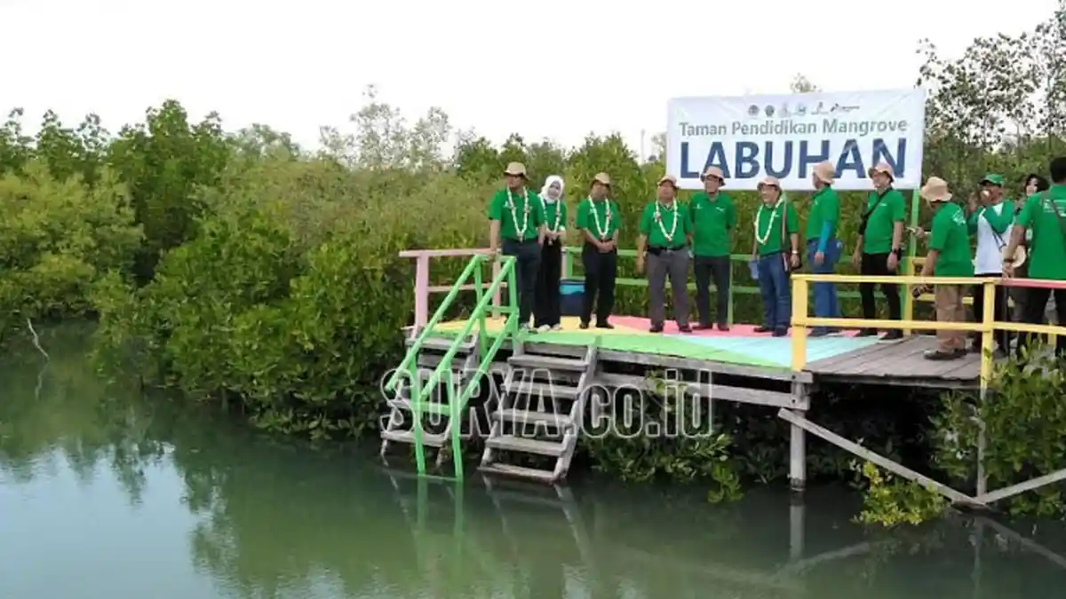 Bupati Bangkalan Resmikan Taman Pendidikan Mangrove Desa Labuhan