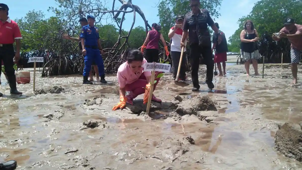 Ruthy Bambang Waskito Tanam Bakau di Siau