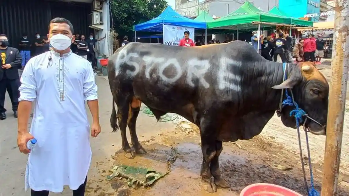 Putra Siregar Ingin Sumbang 10.000 Hewan Kurban Saat Hari Raya Idul Adha 2022, Benarkah?