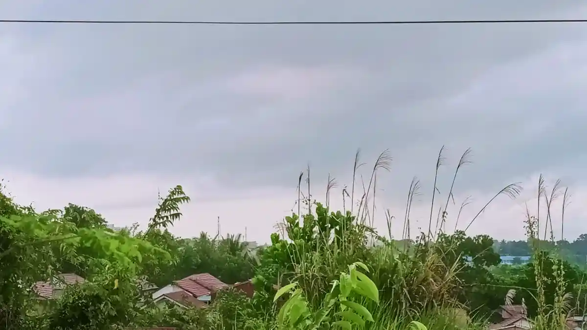 Prakiraan Cuaca Balikpapan Hari Ini, Selasa 9 Juni 2020, Menjelang Siang dan Senja akan Hujan