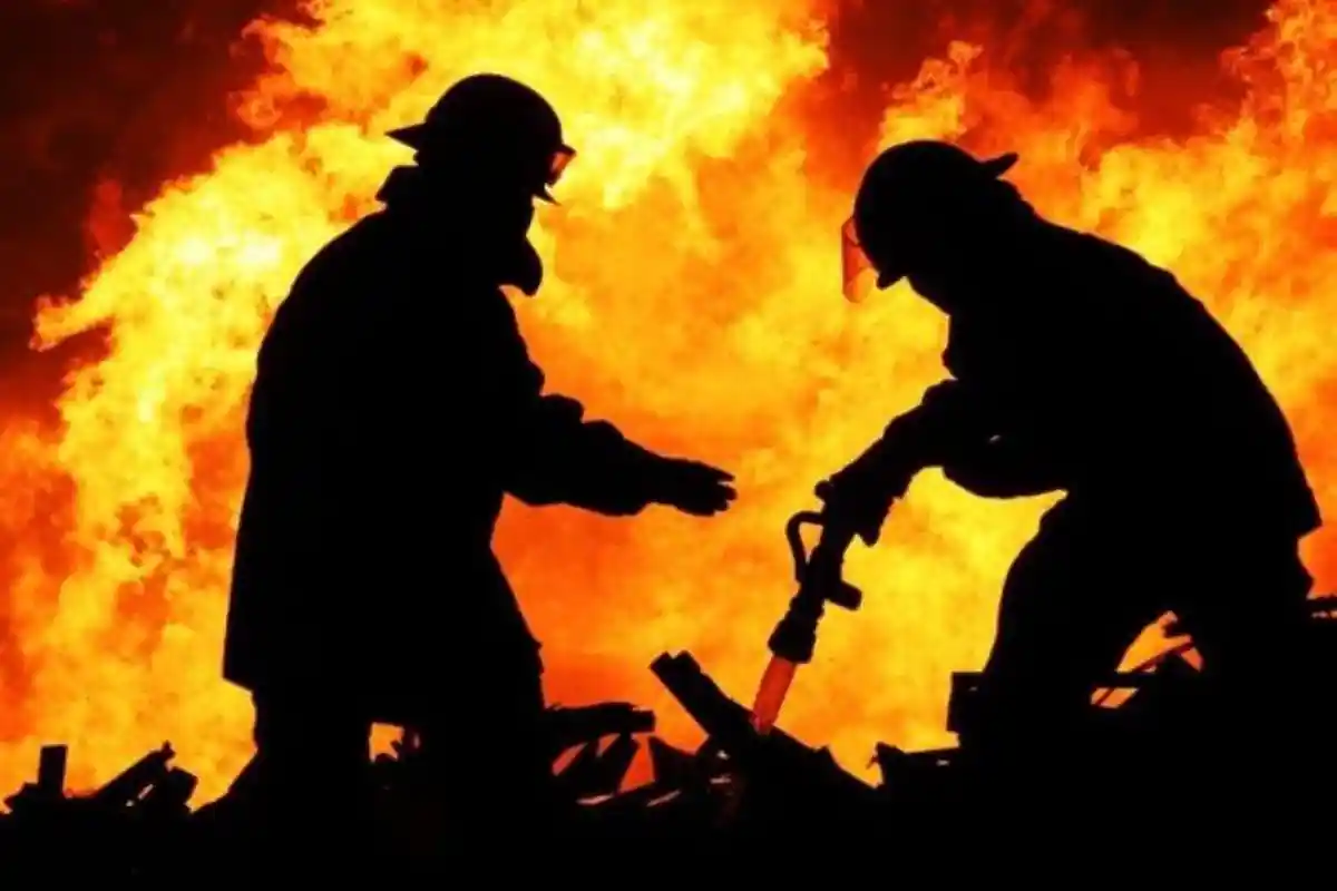 Satu Rumah di Patalan Blora Ludes Terbakar, Diduga karena Bediang Ternak, Anak Sapi Selamat