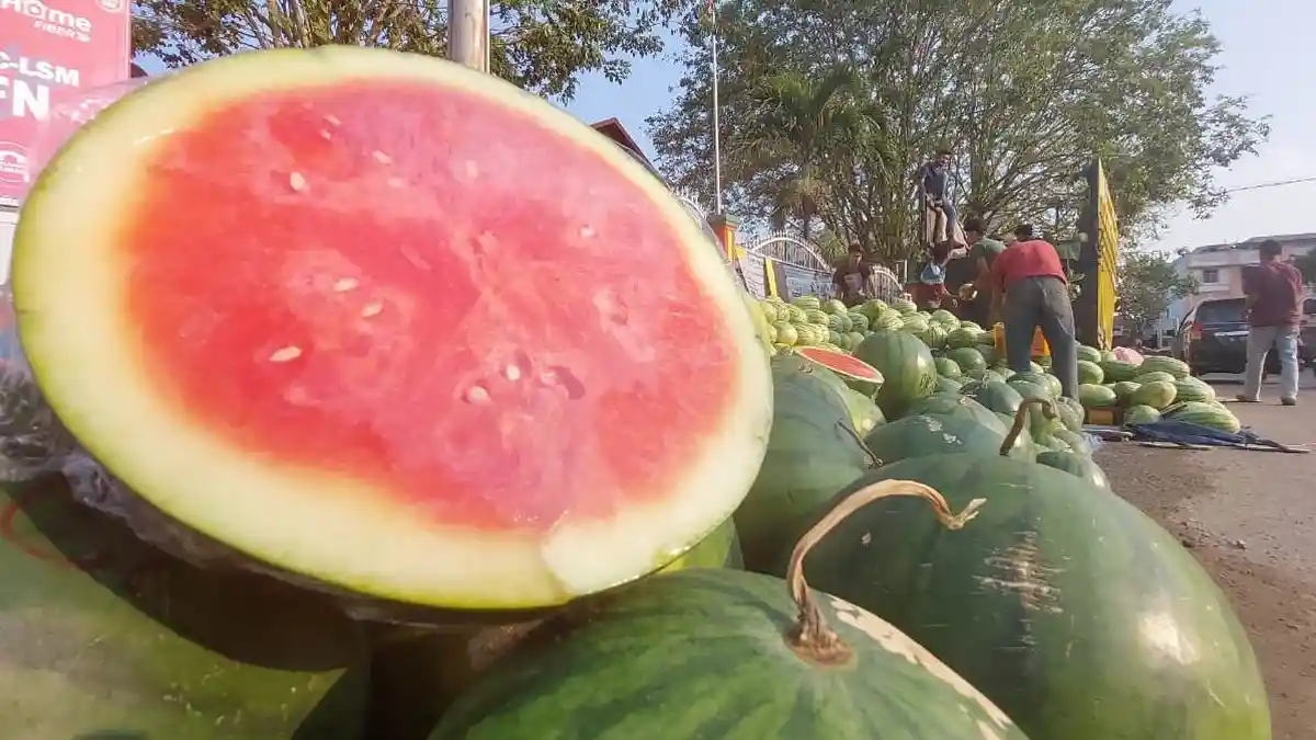 Ini 10 Buah Terbaik untuk Mengatasi Darah Rendah dan Menaikkan Tekanan Darah secara Alami