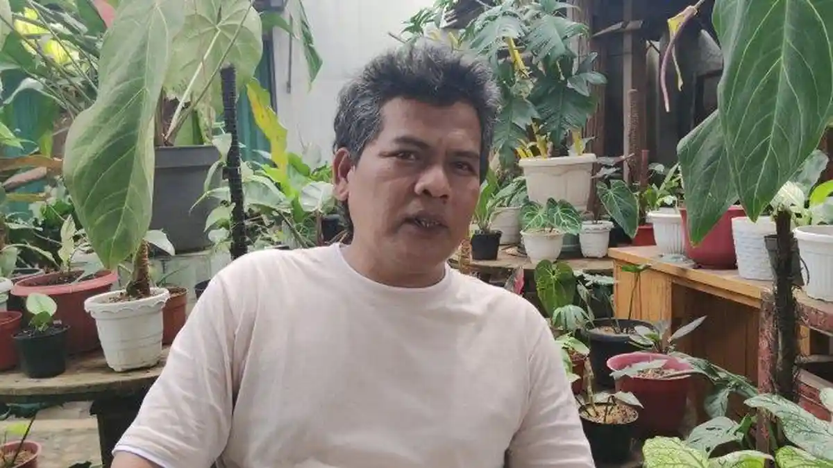 Senangnya Mario, Tanaman Hias Ditukar Rumah Seharga Rp500 Juta, Berawal dari Postingan di Facebook