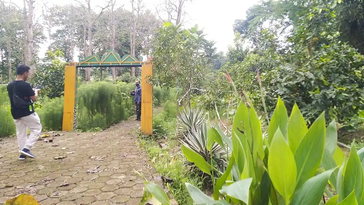 Desa Sidomakmur Bakal Punya Taman Wisata Buah Seluas 10 Hektare, Digarap Serius Mulai Tahun Depan