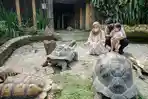 Dari Surakarta ke Gembira Loka Naik Transportasi Umum? Simak Rute dan Biaya Perjalanannya